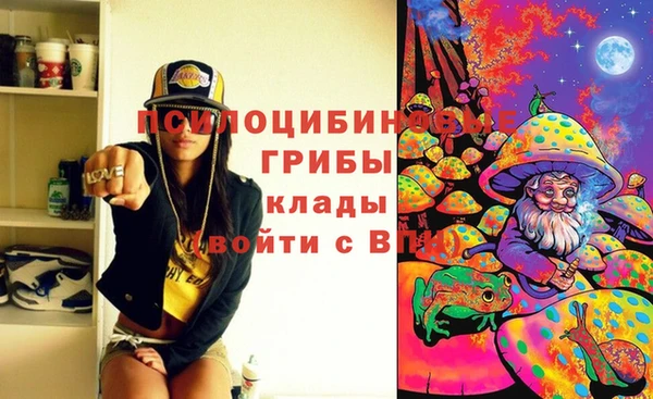 герыч Алексин