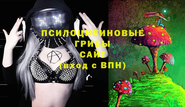 альфа пвп Алексеевка