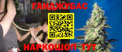 прущие грибы Ипатово